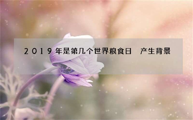 2019年是第几个世界粮食日 产生背景